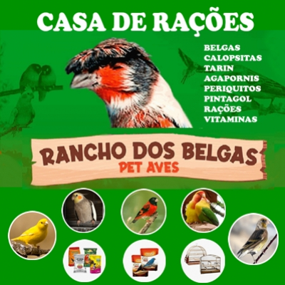 Casa de Rações Rancho dos Belgas - Pet Aves Sobral CE