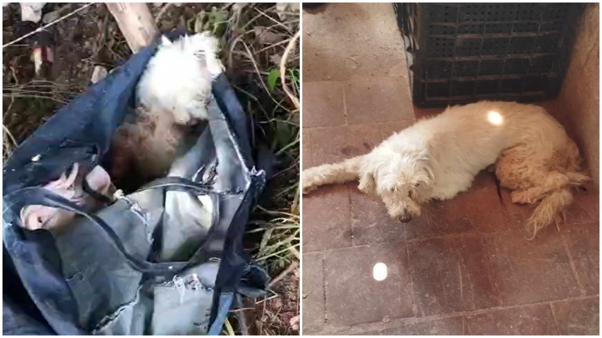 foto Not&iacute;cia Sobral