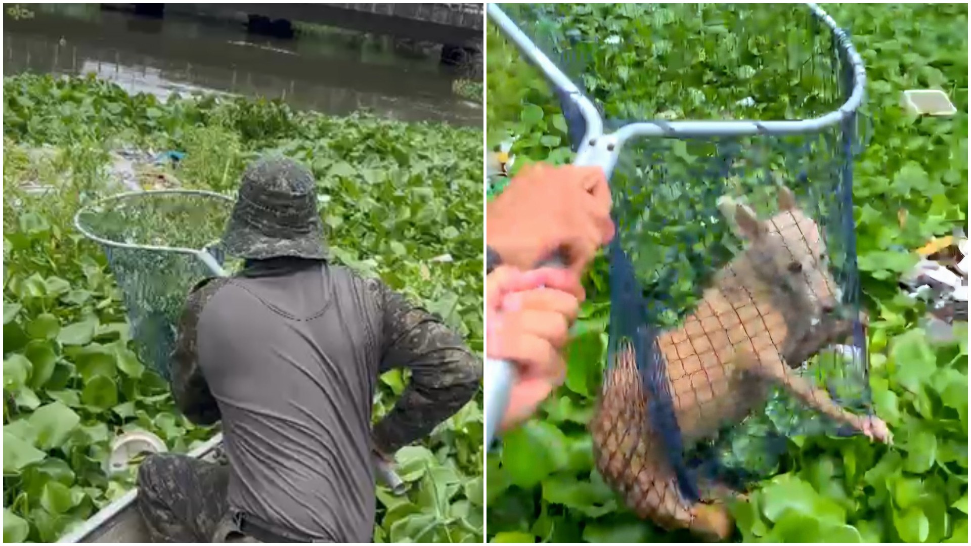 foto Not&iacute;cia Sobral