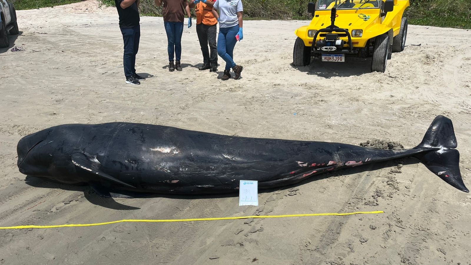 foto Not&iacute;cia Sobral